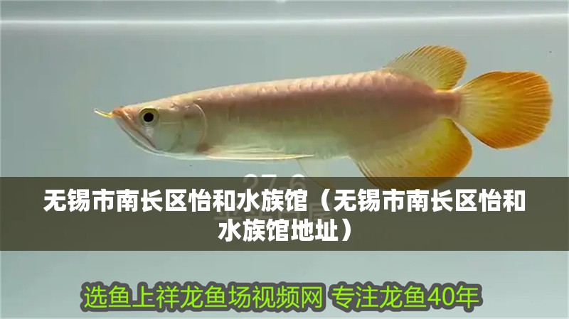 無錫市南長區(qū)怡和水族館（無錫市南長區(qū)怡和水族館地址）