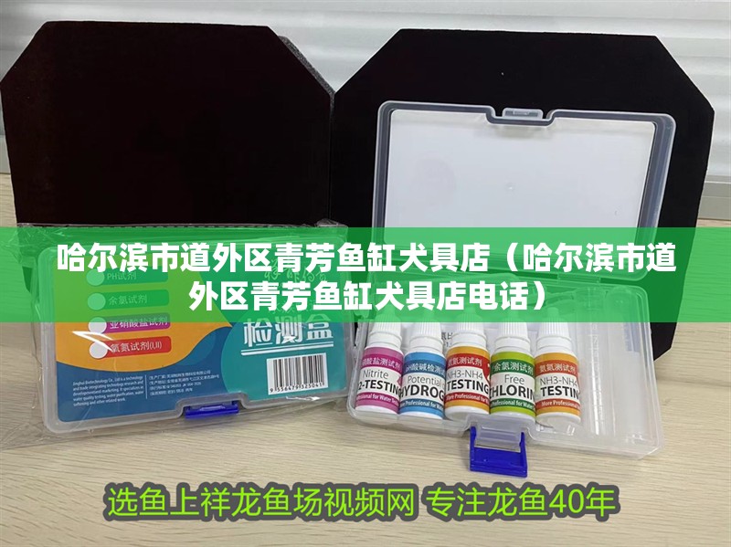 哈爾濱市道外區青芳魚缸犬具店（哈爾濱市道外區青芳魚缸犬具店電話）
