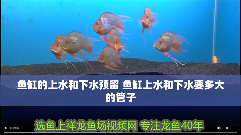 魚缸的上水和下水預(yù)留 魚缸上水和下水要多大的管子