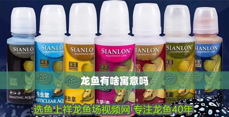 龍魚有啥寓意嗎