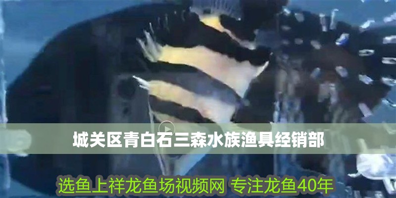 城關區青白石三森水族漁具經銷部