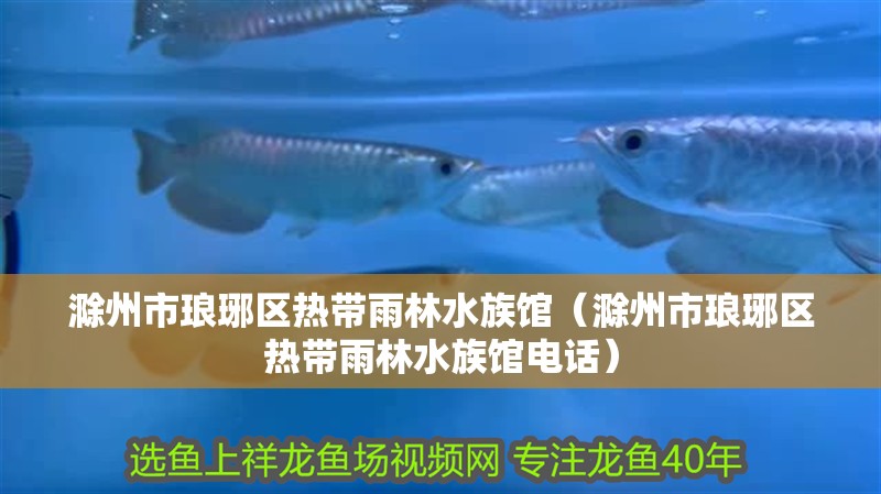 滁州市瑯琊區熱帶雨林水族館（滁州市瑯琊區熱帶雨林水族館電話） 滁州市瑯琊區熱帶雨林水族館（滁州市瑯琊區熱帶雨林水族館電話） 全國水族館企業名錄 第2張