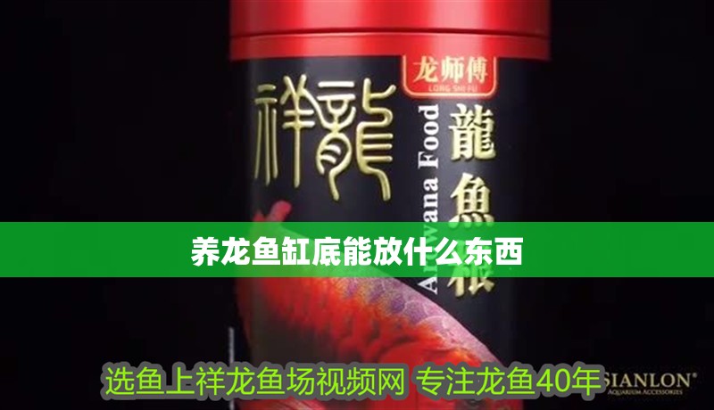 養龍魚缸底能放什么東西