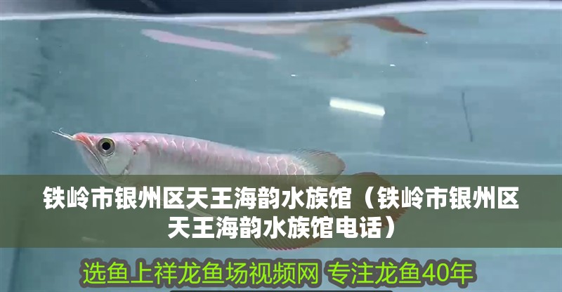 鐵嶺市銀州區天王海韻水族館（鐵嶺市銀州區天王海韻水族館電話）