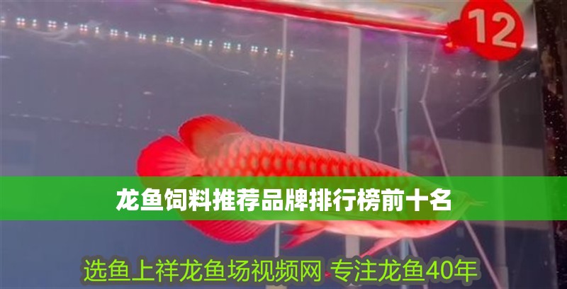 龍魚飼料推薦品牌排行榜前十名