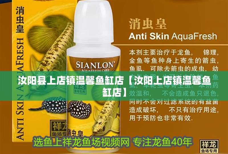 汝陽縣上店鎮溫馨魚缸店【汝陽上店鎮溫馨魚缸店】