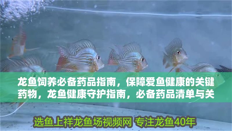 龍魚飼養必備藥品指南，保障愛魚健康的關鍵藥物，龍魚健康守護指南，必備藥品清單與關鍵養護策略 龍魚飼養必備藥品指南，保障愛魚健康的關鍵藥物，龍魚健康守護指南，必備藥品清單與關鍵養護策略 龍魚常見疾病 第1張