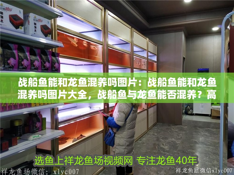 戰(zhàn)船魚能和龍魚混養(yǎng)嗎圖片：戰(zhàn)船魚能和龍魚混養(yǎng)嗎圖片大全，戰(zhàn)船魚與龍魚能否混養(yǎng)？高清圖片全解析 戰(zhàn)船魚能和龍魚混養(yǎng)嗎圖片：戰(zhàn)船魚能和龍魚混養(yǎng)嗎圖片大全，戰(zhàn)船魚與龍魚能否混養(yǎng)？高清圖片全解析 水族問答