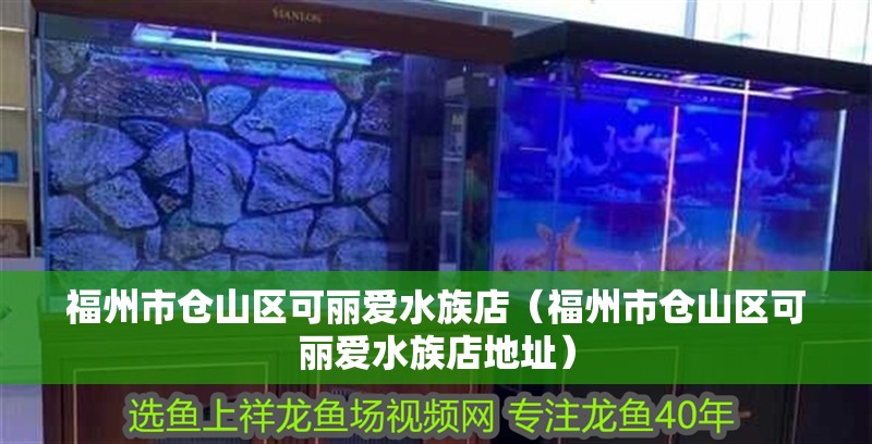 福州市倉山區(qū)可麗愛水族店（福州市倉山區(qū)可麗愛水族店地址）