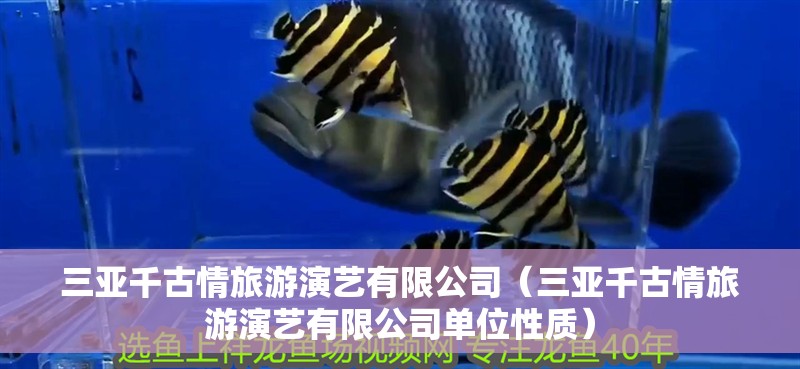 三亞千古情旅游演藝有限公司(三亞千古情旅游演藝有限公司單位性質) 全國水族館企業名錄 第2張 三亞千古情旅游演藝有限公司(三亞千古情旅游演藝有限公司單位性質) 三亞千古情旅游演藝有限公司(三亞千古情旅游演藝有限公司單位性質) 全國水族館企業名錄 第2張