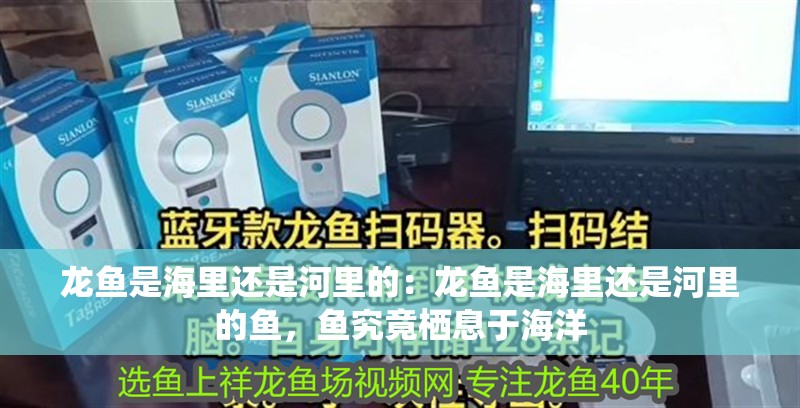 龍魚是海里還是河里的：龍魚是海里還是河里的魚，魚究竟棲息于海洋