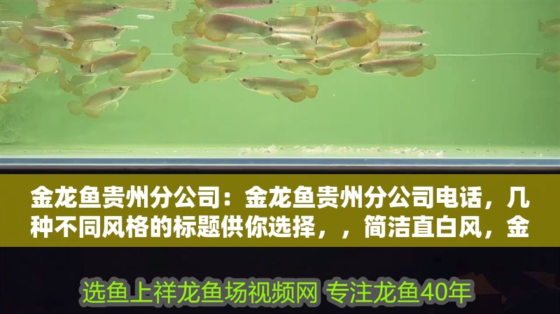 金龍魚(yú)貴州分公司：金龍魚(yú)貴州分公司電話(huà)，幾種不同風(fēng)格的標(biāo)題供你選擇，，簡(jiǎn)潔直白風(fēng)，金龍魚(yú)貴州分公司聯(lián)系方式之電話(huà)篇，實(shí)用指引風(fēng)，速查！金龍魚(yú)貴州分公司電話(huà)在此，突出重點(diǎn)風(fēng)，聚焦金龍魚(yú)貴州分公司，專(zhuān)屬聯(lián)系電話(huà)公布 金龍魚(yú)貴州分公司：金龍魚(yú)貴州分公司電話(huà)，幾種不同風(fēng)格的標(biāo)題供你選擇，，簡(jiǎn)潔直白風(fēng)，金龍魚(yú)貴州分公司聯(lián)系方式之電話(huà)篇，實(shí)用指引風(fēng)，速查！金龍魚(yú)貴州分公司電話(huà)在此，突出重點(diǎn)風(fēng)，聚焦金龍魚(yú)貴州分公司，專(zhuān)屬聯(lián)系電話(huà)公布 水族問(wèn)答