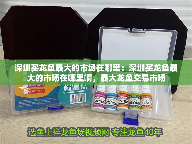 深圳買龍魚最大的市場在哪里：深圳買龍魚最大的市場在哪里啊，最大龍魚交易市場