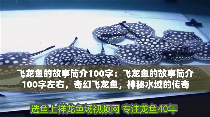 飛龍魚的故事簡介100字：飛龍魚的故事簡介100字左右，奇幻飛龍魚，神秘水域的傳奇