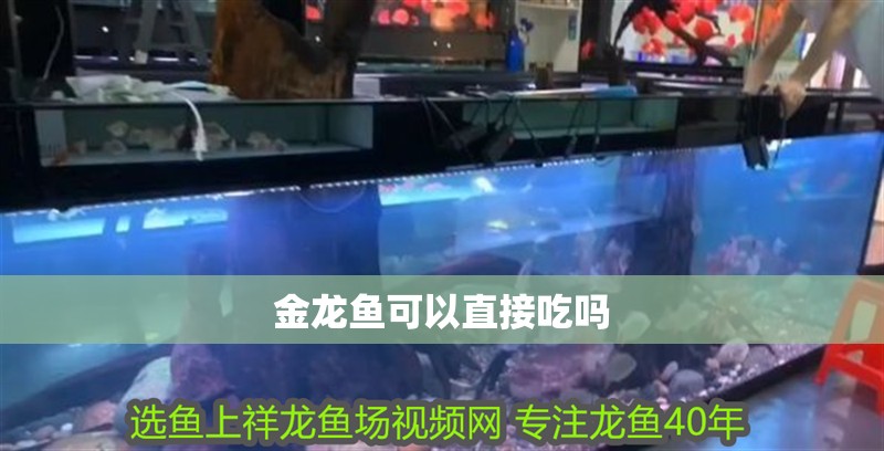 金龍魚可以直接吃嗎