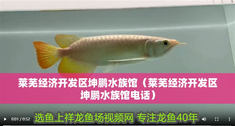 萊蕪經濟開發區坤鵬水族館（萊蕪經濟開發區坤鵬水族館電話）