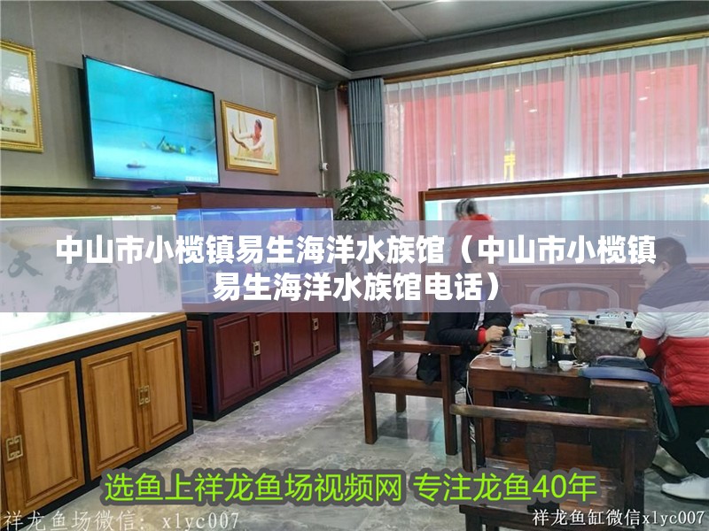 中山市小欖鎮易生海洋水族館（中山市小欖鎮易生海洋水族館電話）