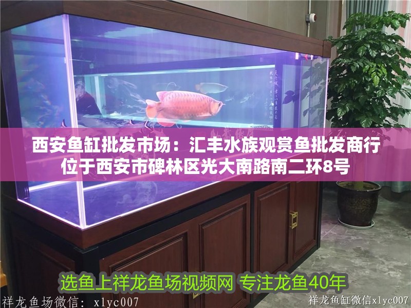 西安魚缸批發市場：匯豐水族觀賞魚批發商行位于西安市碑林區光大南路南二環8號