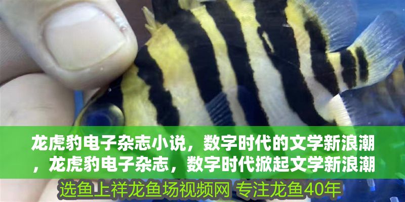 龍虎豹電子雜志小說，數字時代的文學新浪潮，龍虎豹電子雜志，數字時代掀起文學新浪潮