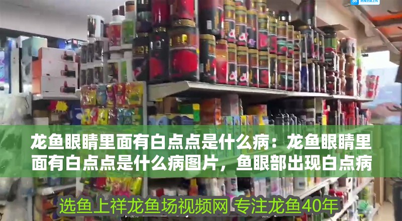 龍魚眼睛里面有白點點是什么病：龍魚眼睛里面有白點點是什么病圖片，魚眼部出現白點病癥解析及圖