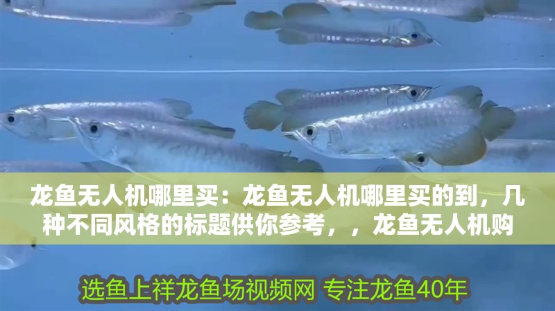 龍魚(yú)無(wú)人機(jī)哪里買(mǎi)：龍魚(yú)無(wú)人機(jī)哪里買(mǎi)的到，幾種不同風(fēng)格的標(biāo)題供你參考，，龍魚(yú)無(wú)人機(jī)購(gòu)買(mǎi)渠道大揭秘，探尋龍魚(yú)無(wú)人機(jī)的購(gòu)買(mǎi)之所，龍魚(yú)無(wú)人機(jī)究竟在哪能買(mǎi)到