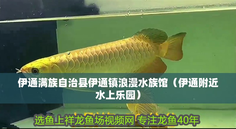 伊通滿族自治縣伊通鎮浪漫水族館（伊通附近水上樂園） 伊通滿族自治縣伊通鎮浪漫水族館（伊通附近水上樂園） 全國水族館企業名錄 第2張