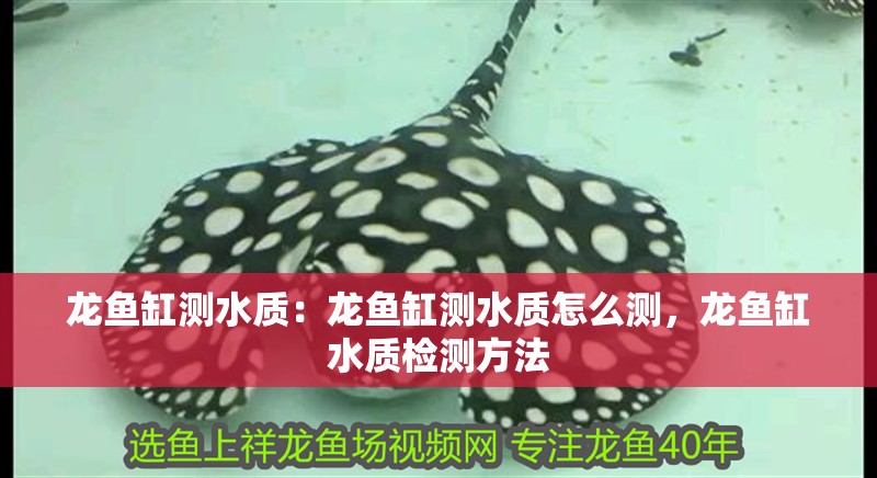 龍魚缸測水質(zhì)：龍魚缸測水質(zhì)怎么測，龍魚缸水質(zhì)檢測方法 龍魚缸測水質(zhì)：龍魚缸測水質(zhì)怎么測，龍魚缸水質(zhì)檢測方法 水族問答