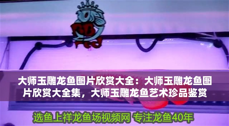 大師玉雕龍魚圖片欣賞大全：大師玉雕龍魚圖片欣賞大全集，大師玉雕龍魚藝術珍品鑒賞 大師玉雕龍魚圖片欣賞大全：大師玉雕龍魚圖片欣賞大全集，大師玉雕龍魚藝術珍品鑒賞 水族問答