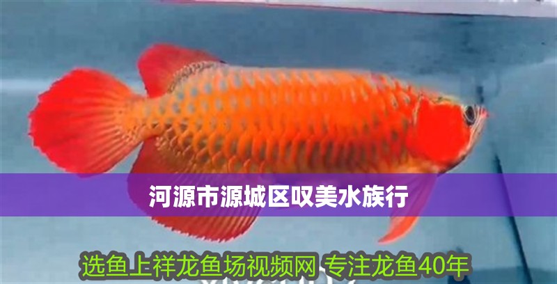 河源市源城區(qū)嘆美水族行
