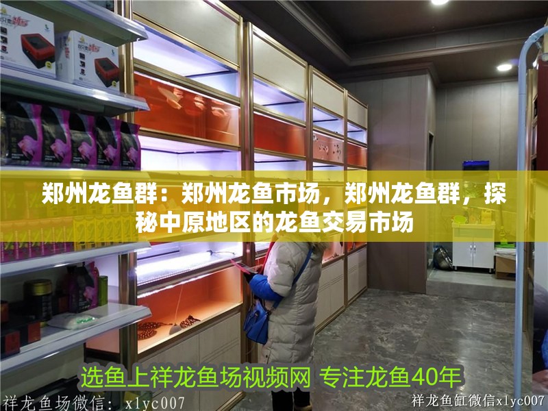 鄭州龍魚群:鄭州龍魚市場(chǎng),鄭州龍魚群,探秘中原地區(qū)的龍魚交易市場(chǎng) 水族問答 鄭州龍魚群:鄭州龍魚市場(chǎng),鄭州龍魚群,探秘中原地區(qū)的龍魚交易市場(chǎng) 鄭州龍魚群:鄭州龍魚市場(chǎng),鄭州龍魚群,探秘中原地區(qū)的龍魚交易市場(chǎng) 水族問答