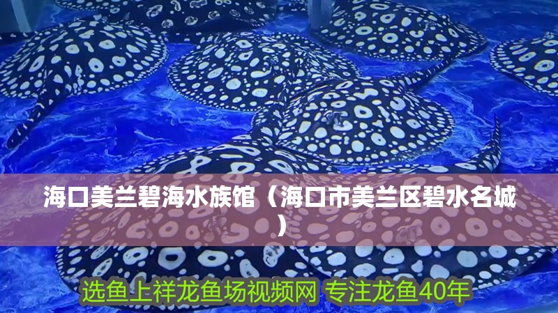 海口美蘭碧海水族館（海口市美蘭區碧水名城）