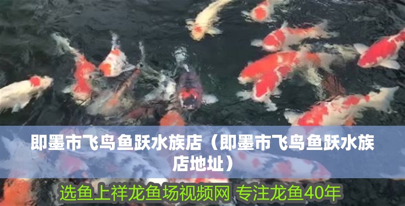 即墨市飛鳥魚躍水族店（即墨市飛鳥魚躍水族店地址） 即墨市飛鳥魚躍水族店（即墨市飛鳥魚躍水族店地址） 全國水族館企業名錄 第2張