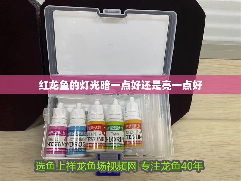 紅龍魚的燈光暗一點好還是亮一點好 紅龍魚的燈光暗一點好還是亮一點好 龍魚百科 第2張