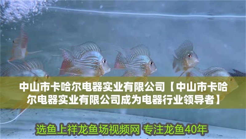 中山市卡哈爾電器實業有限公司【中山市卡哈爾電器實業有限公司成為電器行業領導者】