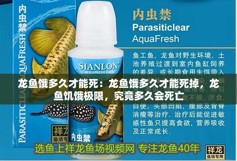 龍魚餓多久才能死：龍魚餓多久才能死掉，龍魚饑餓極限，究竟多久會死亡