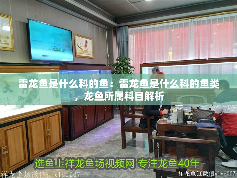 雷龍魚是什么科的魚：雷龍魚是什么科的魚類，龍魚所屬科目解析