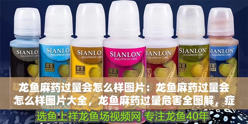 龍魚麻藥過量會怎么樣圖片：龍魚麻藥過量會怎么樣圖片大全，龍魚麻藥過量危害全圖解，癥狀與后果高清