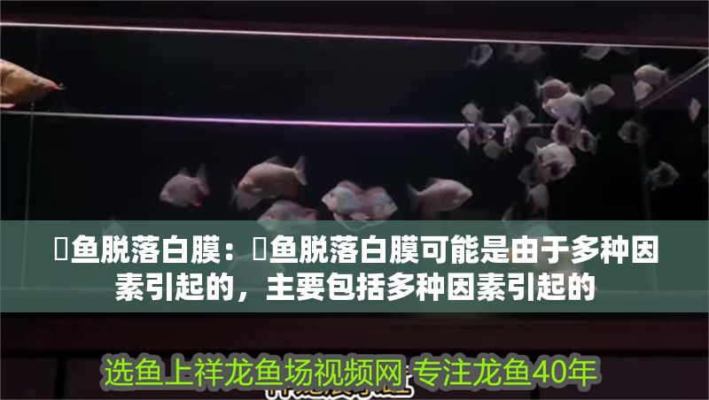 魟魚脫落白膜：魟魚脫落白膜可能是由于多種因素引起的，主要包括多種因素引起的