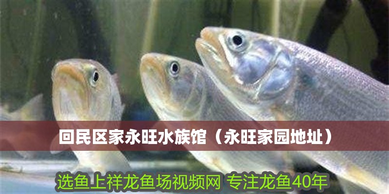 回民區家永旺水族館（永旺家園地址）