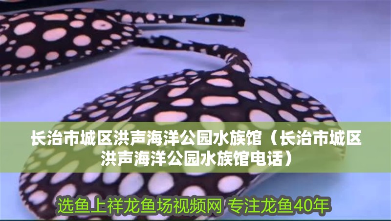 長治市城區洪聲海洋公園水族館（長治市城區洪聲海洋公園水族館電話） 長治市城區洪聲海洋公園水族館（長治市城區洪聲海洋公園水族館電話） 全國水族館企業名錄 第2張