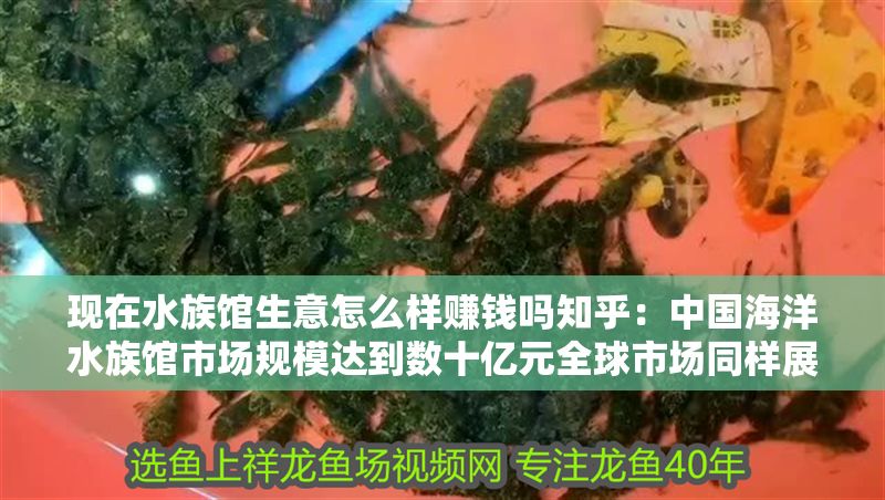 現在水族館生意怎么樣賺錢嗎知乎：中國海洋水族館市場規模達到數十億元全球市場同樣展現出積極發展趨勢