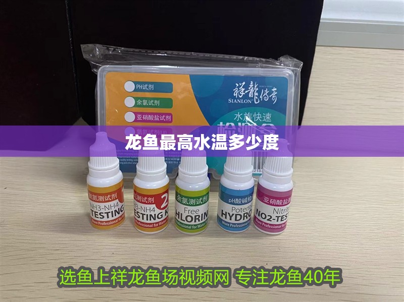龍魚最高水溫多少度 龍魚最高水溫多少度 龍魚百科 第4張