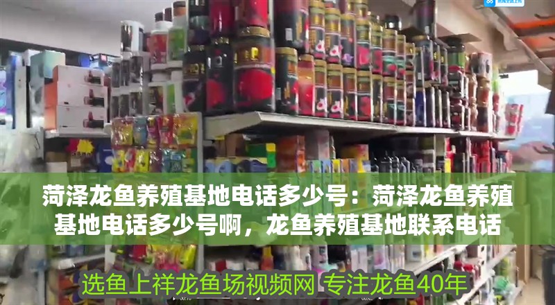 菏澤龍魚養殖基地電話多少號：菏澤龍魚養殖基地電話多少號啊，龍魚養殖基地聯系電話