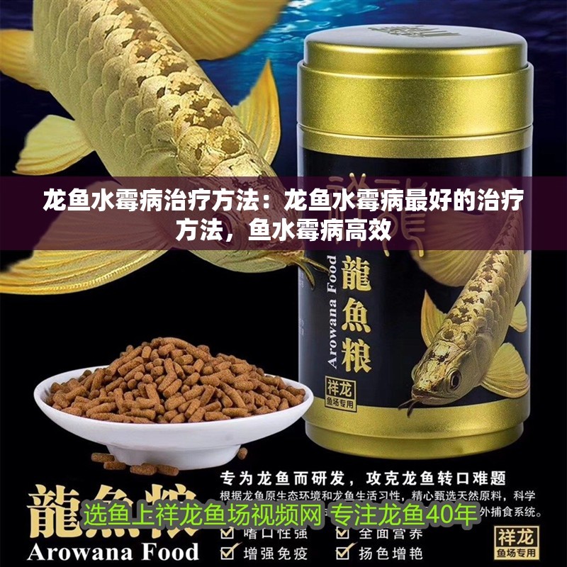 龍魚水霉病治療方法：龍魚水霉病最好的治療方法，魚水霉病高效