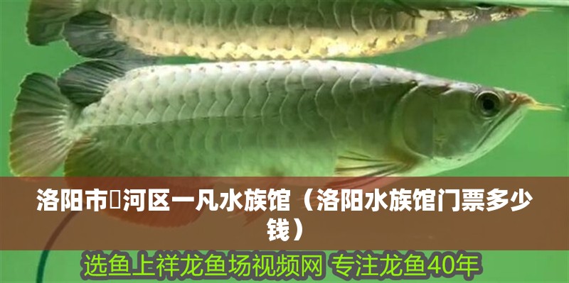 洛陽市瀍河區一凡水族館（洛陽水族館門票多少錢）