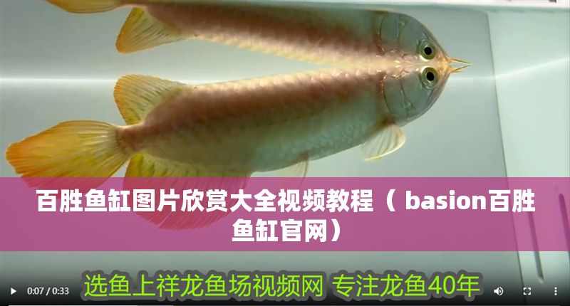 百勝魚缸圖片欣賞大全視頻教程（ basion百勝魚缸官網） 百勝魚缸圖片欣賞大全視頻教程（ basion百勝魚缸官網） 紅龍魚百科 第1張