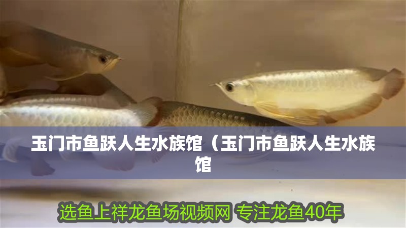 玉門市魚躍人生水族館（玉門市魚躍人生水族館