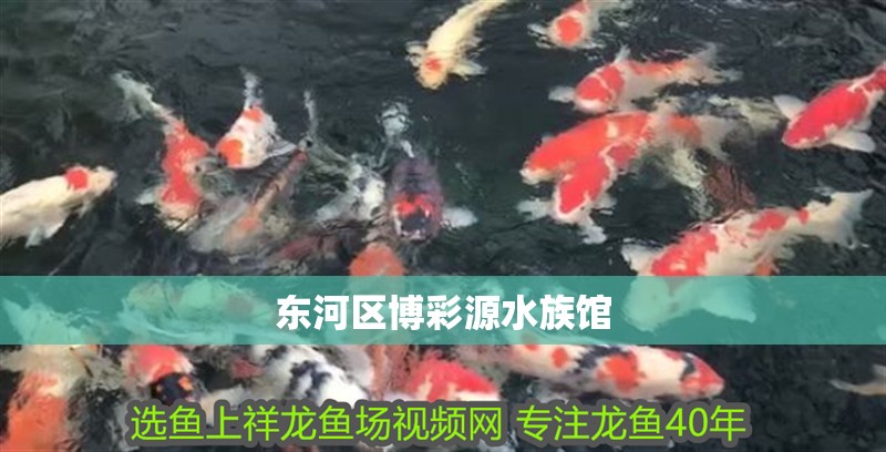 東河區博彩源水族館