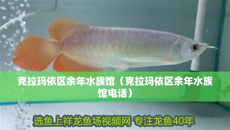 克拉瑪依區余年水族館（克拉瑪依區余年水族館電話） 克拉瑪依區余年水族館（克拉瑪依區余年水族館電話） 全國水族館企業名錄 第2張