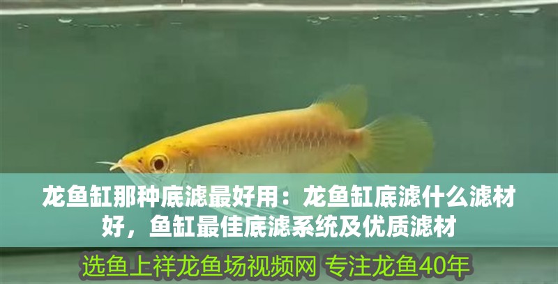 龍魚缸那種底濾最好用：龍魚缸底濾什么濾材好，魚缸最佳底濾系統及優質濾材 龍魚缸那種底濾最好用：龍魚缸底濾什么濾材好，魚缸最佳底濾系統及優質濾材 水族問答